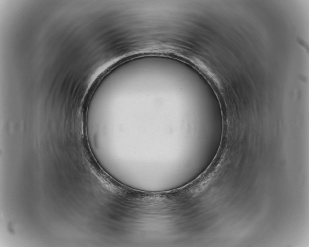 X0000096960838200802080858