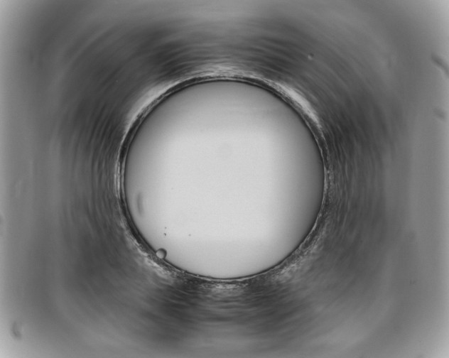 X0000096960839200802080858