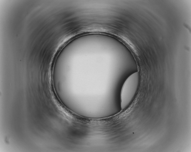 X0000096960840200802080858