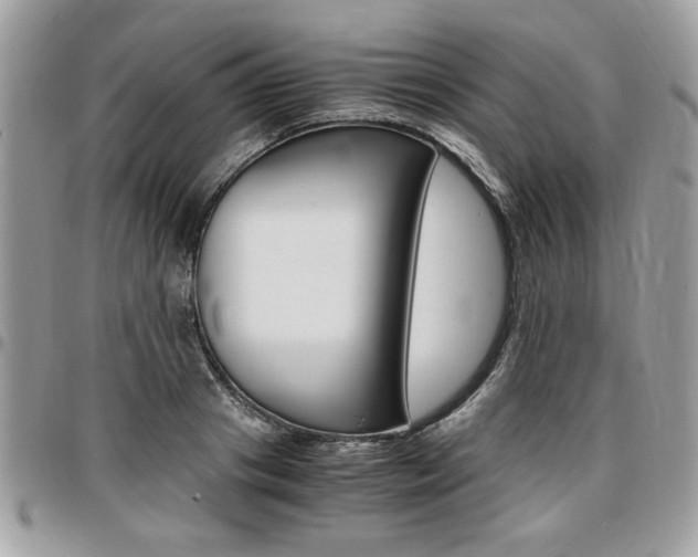 X0000096960841200802080858