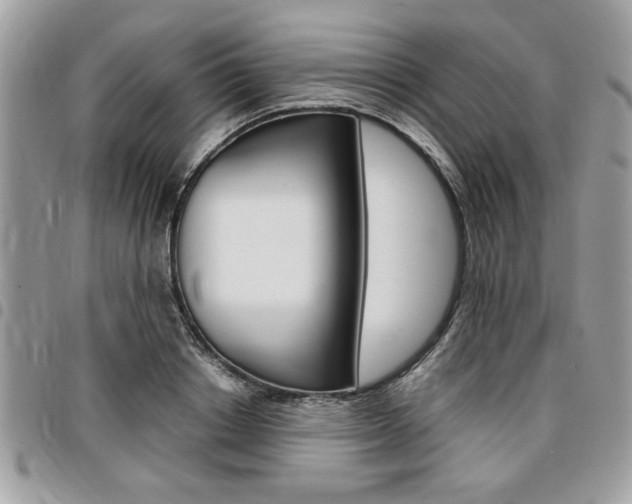 X0000096960842200802080858