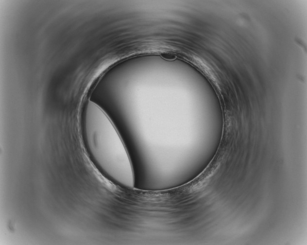 X0000096960843200802080858