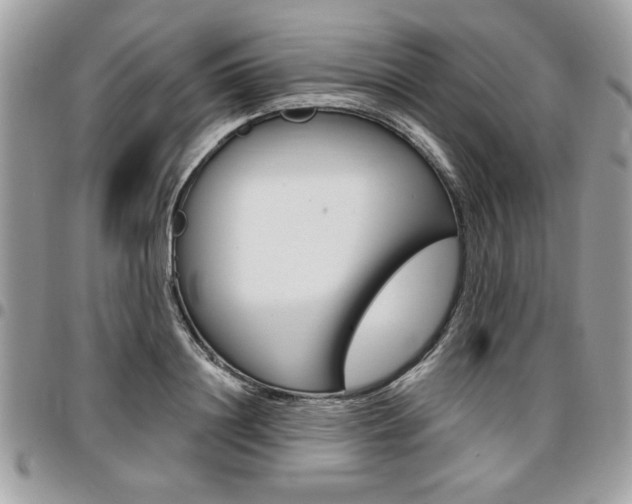 X0000096960844200802080858
