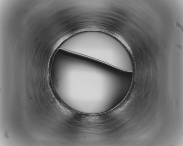 X0000096960845200802080858