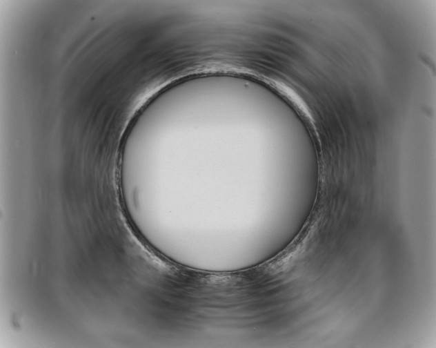 X0000096960847200802080858