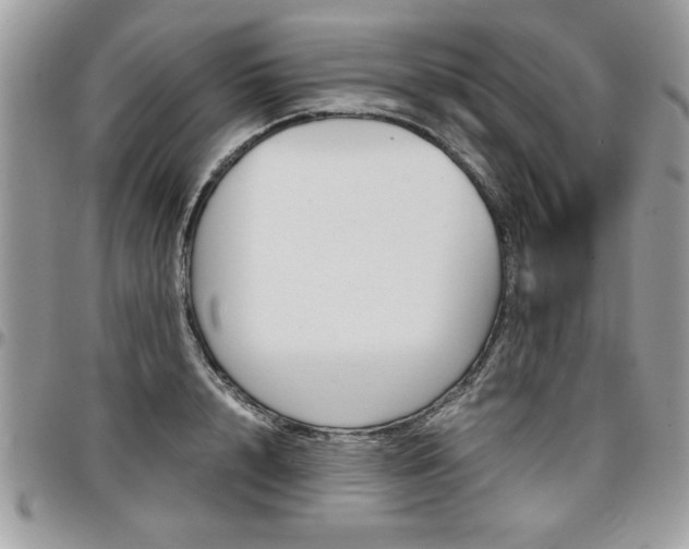 X0000096960848200802080858