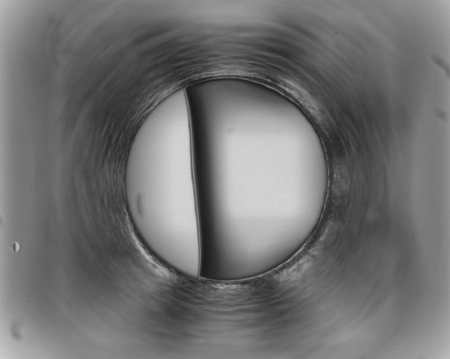 X0000096960849200802080858