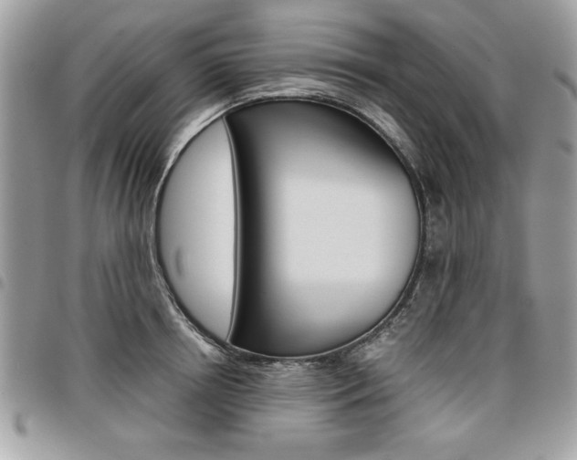 X0000096960850200802080858