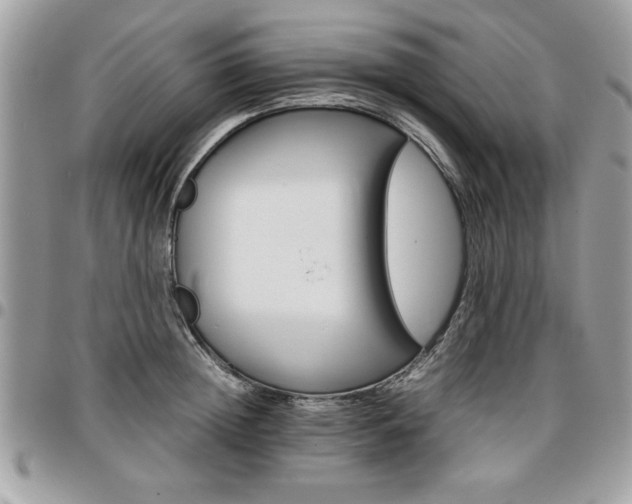 X0000096960852200802080858