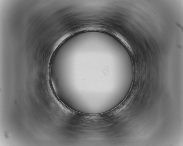 X0000096960853200802080858