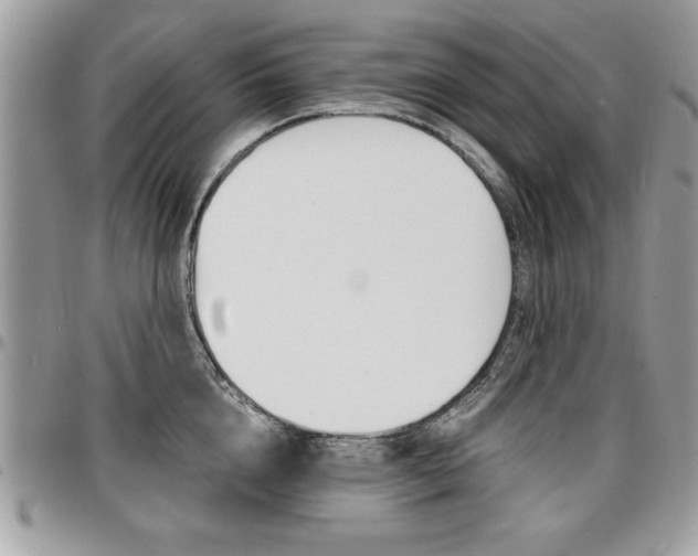 X0000096960856200802080858