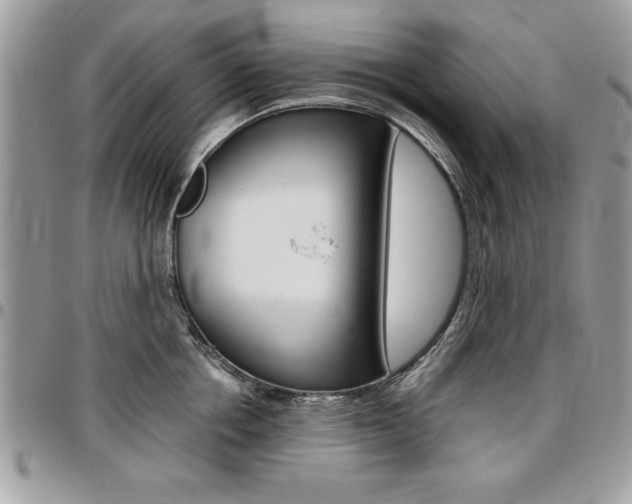 X0000096960858200802080858