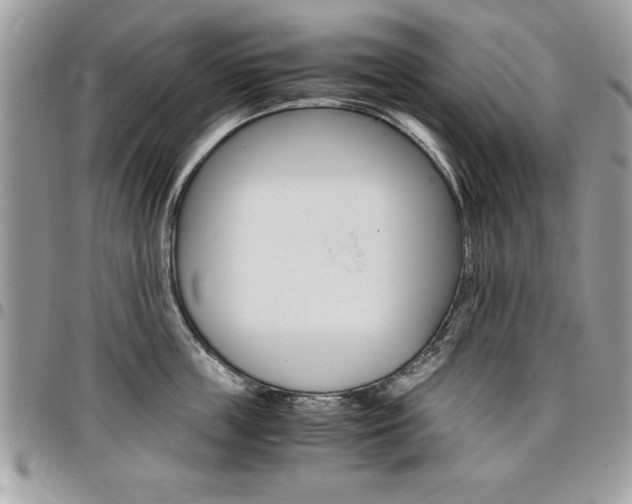 X0000096960859200802080858