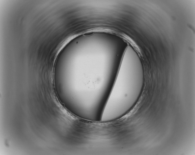 X0000096960860200802080858