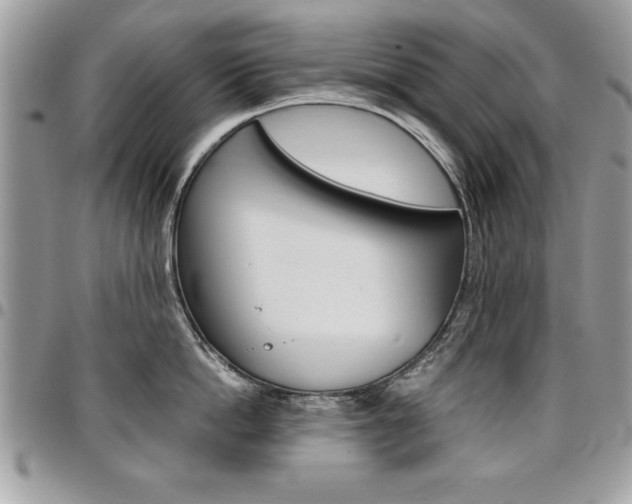 X0000096960862200802080858