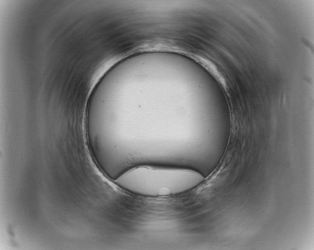X0000096960863200802080858