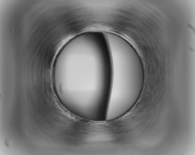 X0000096960864200802080858