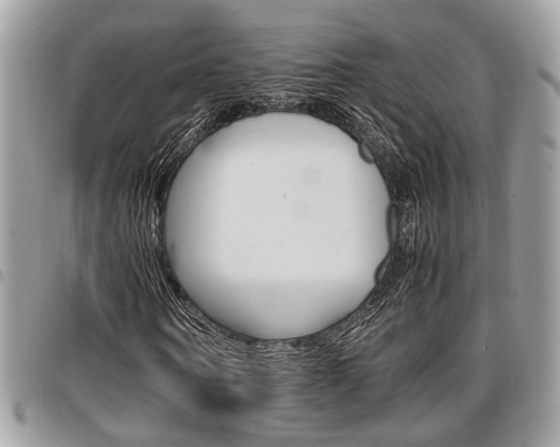 X0000096960866200802080857