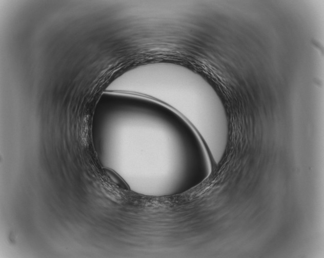 X0000096960868200802080857