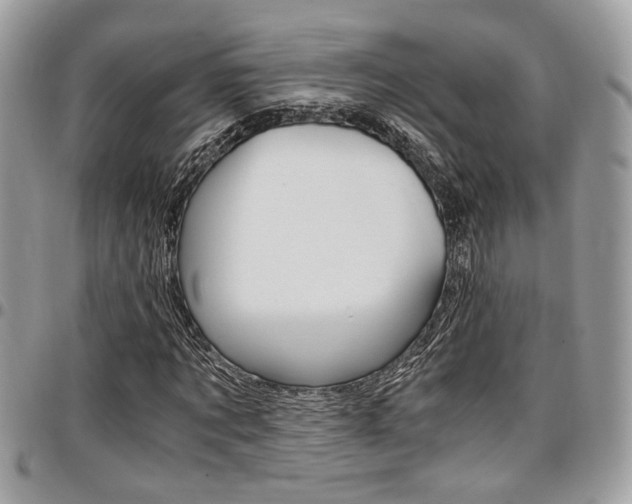 X0000096960869200802080857