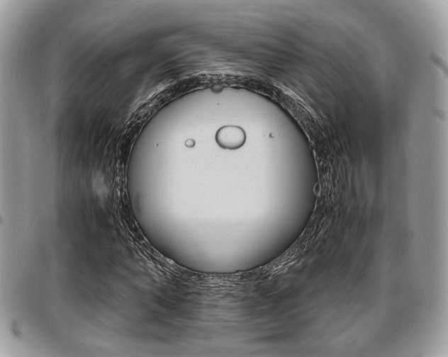 X0000096960870200802080857
