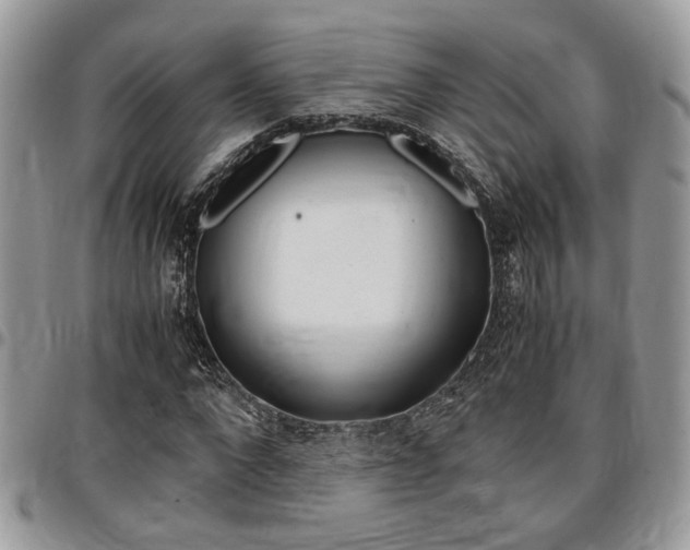 X0000096960872200802080857