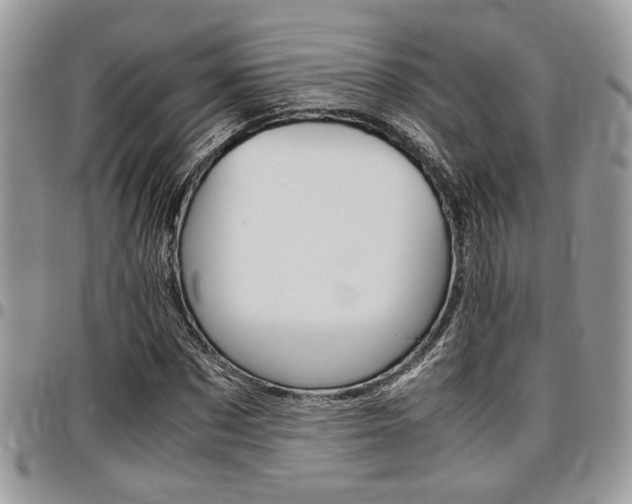 X0000096960873200802080857