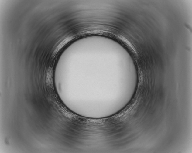 X0000096960874200802080857