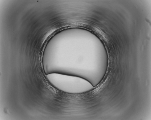 X0000096960875200802080857