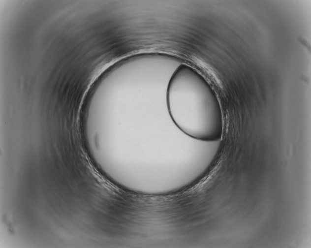 X0000096960876200802080857