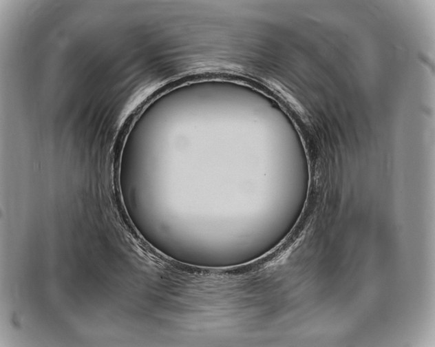 X0000096960877200802080857