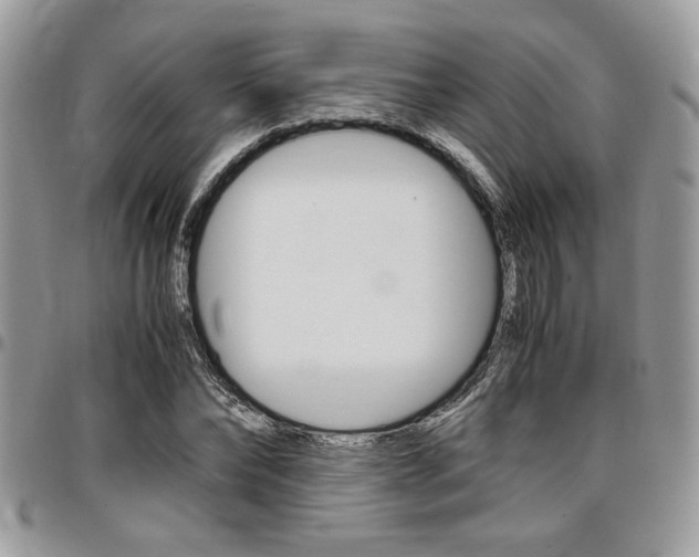 X0000096960878200802080857