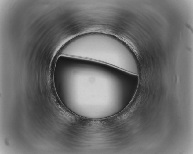 X0000096960880200802080857