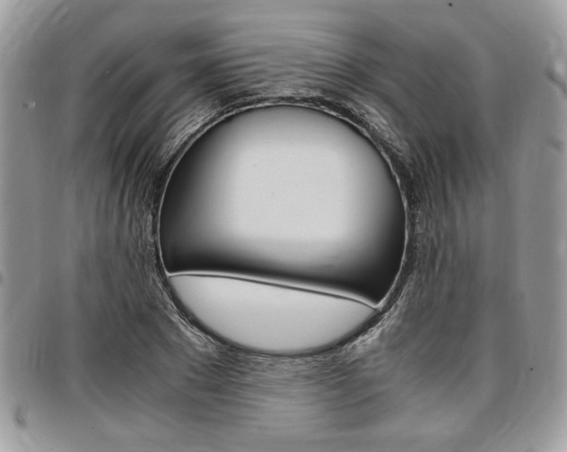 X0000096960881200802080857