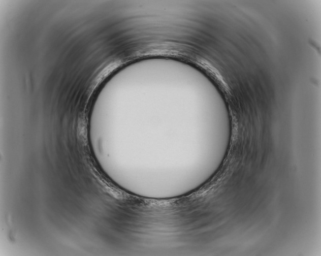 X0000096960882200802080857