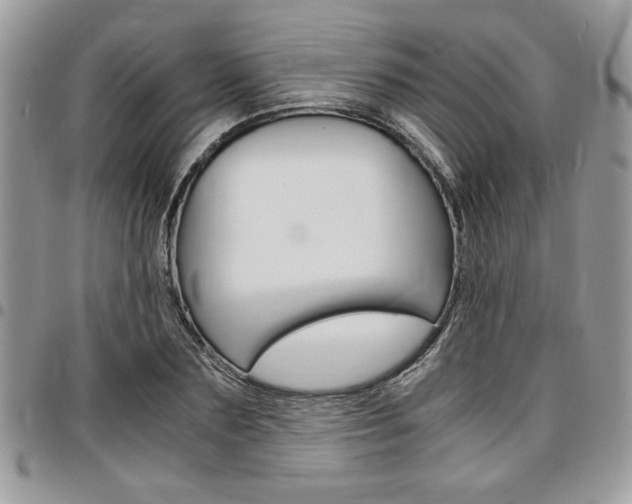 X0000096960883200802080857