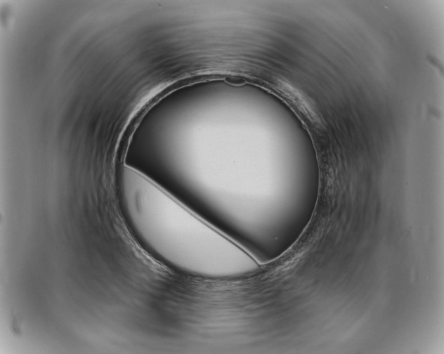 X0000096960884200802080857