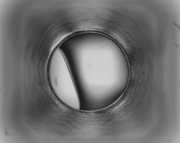 X0000096960885200802080857