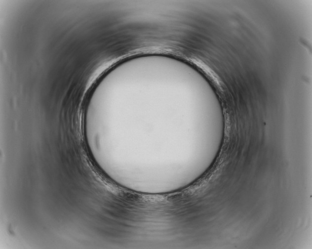 X0000096960886200802080857