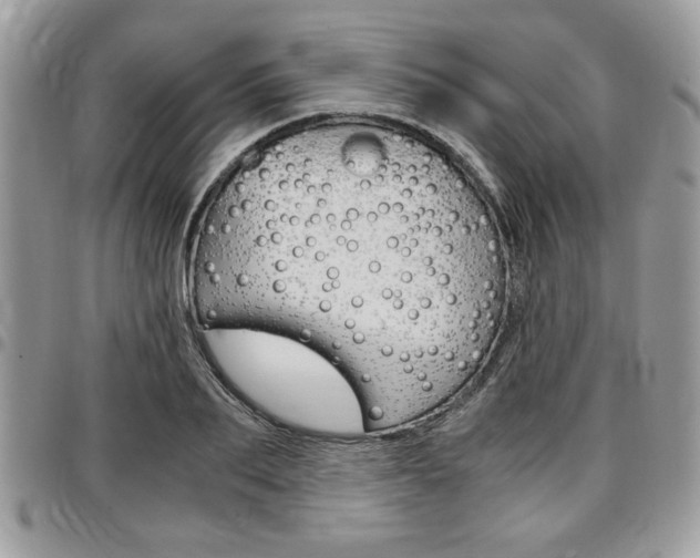 X0000096960887200802080857