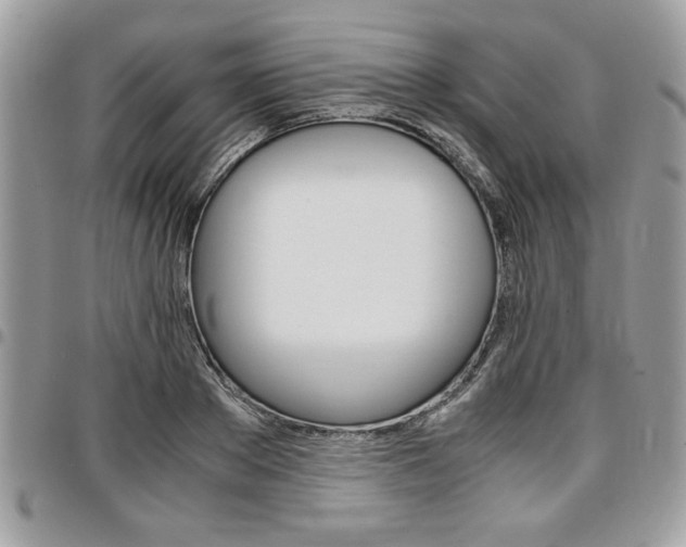 X0000096960889200802080857