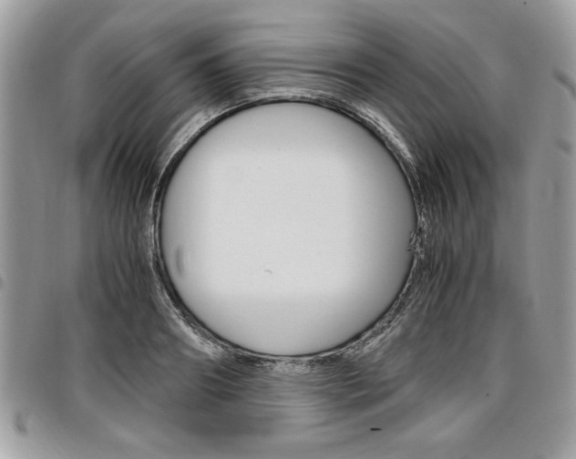 X0000096960890200802080857