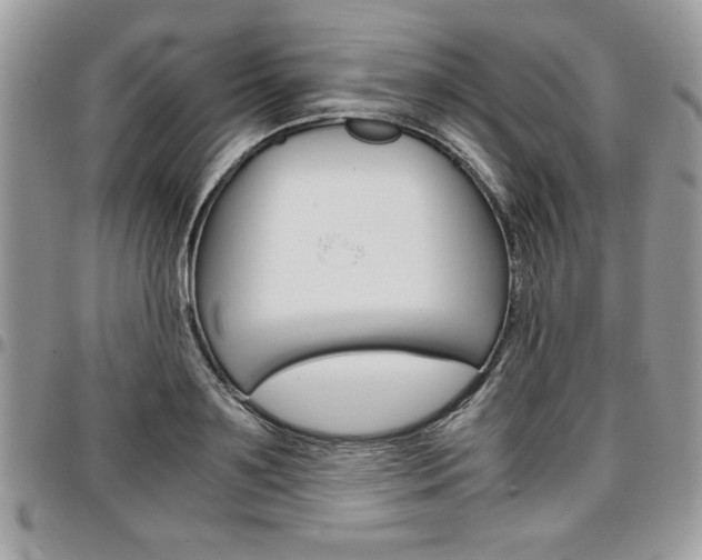 X0000096960891200802080857