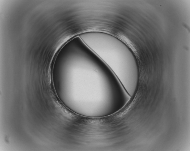 X0000096960892200802080857
