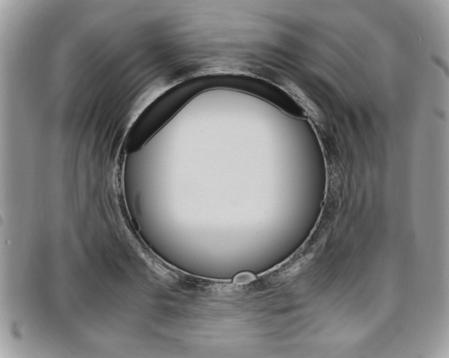 X0000096960893200802080857