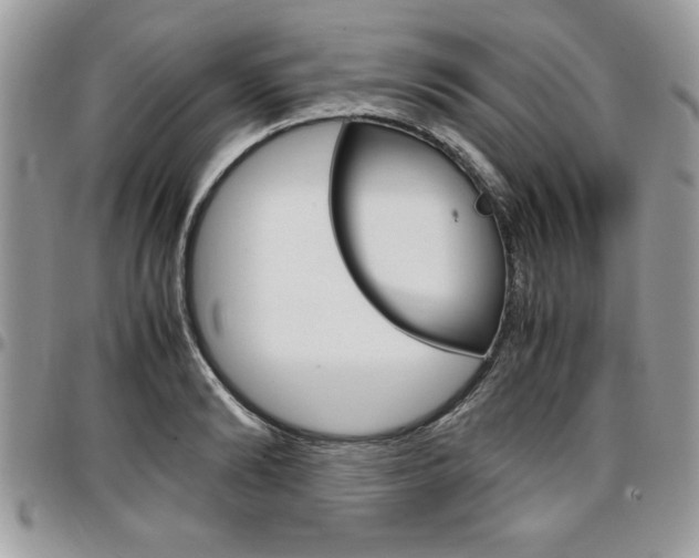 X0000096960894200802080857