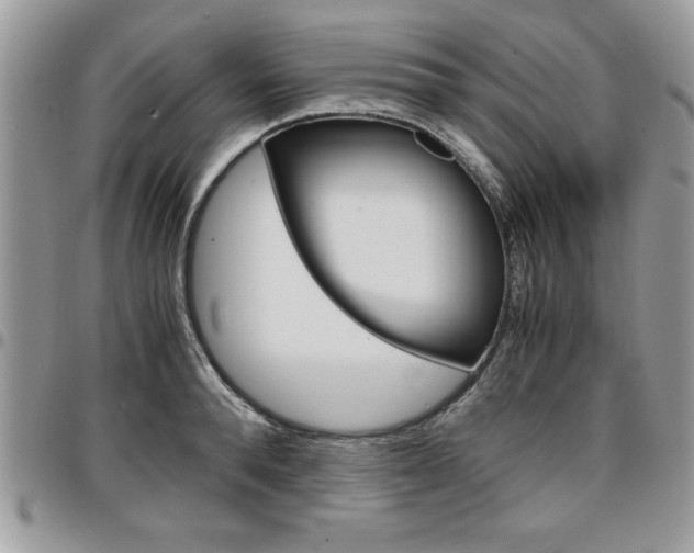 X0000096960896200802080857