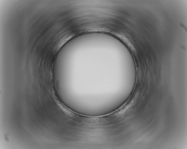 X0000096960897200802080857