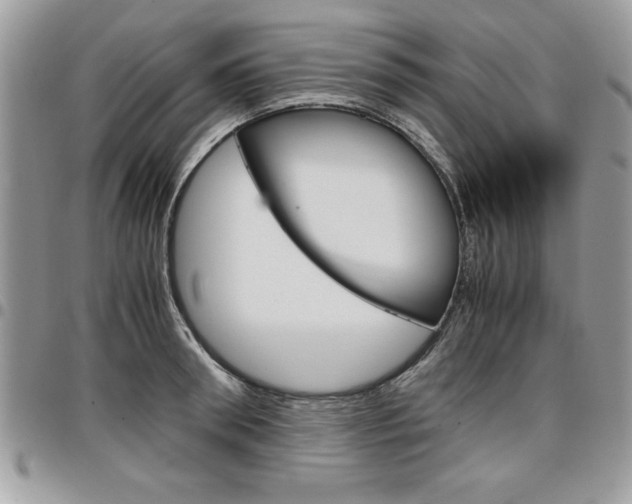 X0000096960898200802080857