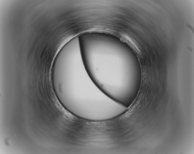 X0000096960900200802080857